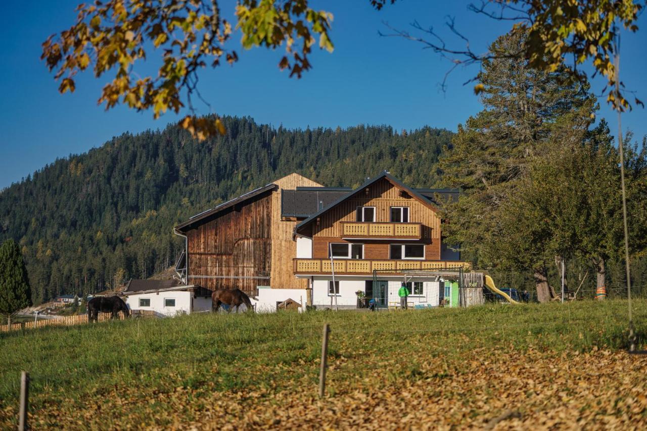 Deluxe Appartement Blasbichlerhof Ramsau am Dachstein Εξωτερικό φωτογραφία